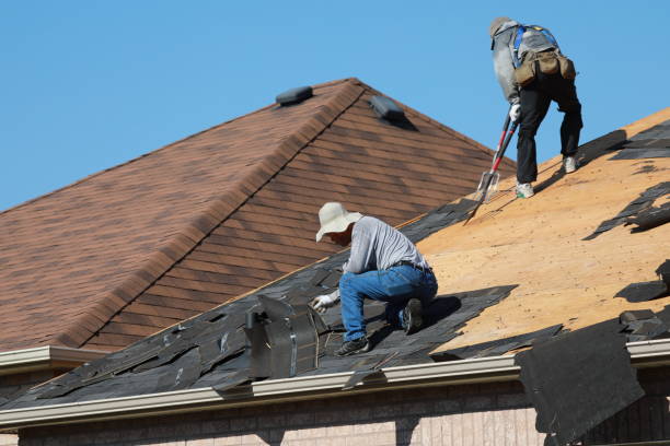 Best Roof Repair  in Plainwell, MI