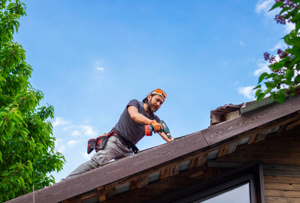 Best Storm Damage Roof Repair  in Plainwell, MI