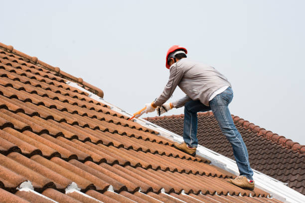 Best Cold Roofs  in Plainwell, MI