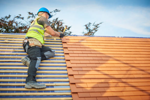 Best Asphalt Shingle Roofing  in Plainwell, MI